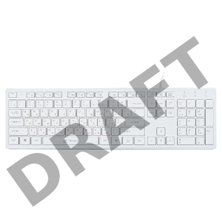 Клавиатура Oklick 500M белый USB slim Multimedia