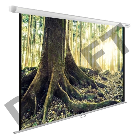 Экран Cactus 220x220см WallExpert CS-PSWE-220x220-WT 1:1 настенно-потолочный рулонный