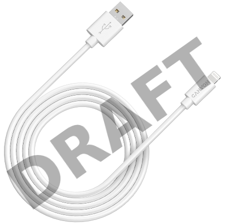 Кабель CANYON MFI C48 Lightning USB Cable for Apple , round, PVC, 2M, OD:4.0mm, Power+signal wire: 21AWG*2C+28AWG*2C,  Data transfer speed:26MB/s, White.  With shield , with CANYON logo and CANYON package.  Certification: ROHS, MFI.