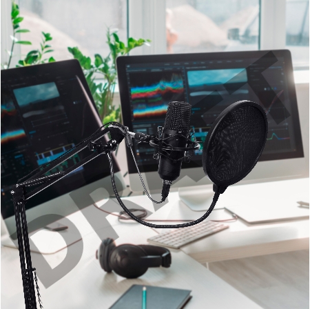 Микрофон проводной SunWind SW-SM400G 1.5м черный