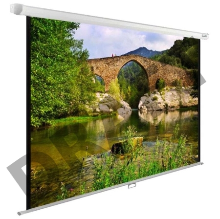 Экран Cactus 220x165см WallExpert CS-PSWE-220x165-WT 1:1 настенно-потолочный рулонный белый