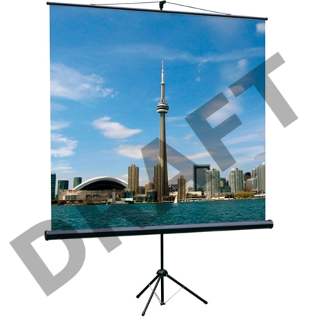 Экран на треноге Lumien 200x200см Eco View LEV-100103 1:1 напольный рулонный