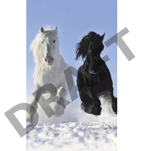 Грелка электрическая - Обогреватель настенный ЭОБН-0,4-220-УХЛ4, Дыхание тепла, Пегас, Брест (1020*610мм), 400 Вт (19с425)