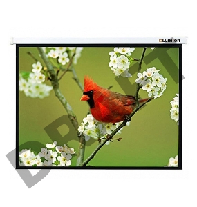 Экран Lumien 305x305см Master Picture LMP-100107 1:1 настенно-потолочный рулонный