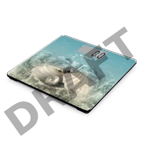 Весы напольные электронные Starwind SSP6030 макс.180кг рисунок