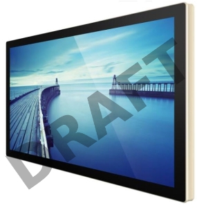 Профессиональный дисплей  Goodview 55