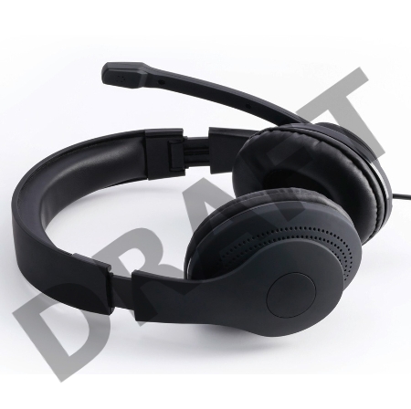 Наушники с микрофоном Hama HS-USB300 черный 2м мониторы оголовье (00139924)