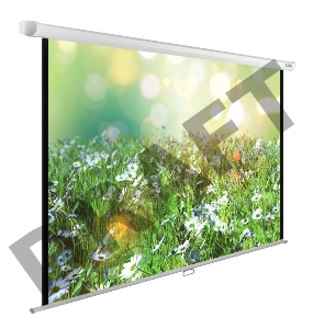 Экран Cactus 200x200см WallExpert CS-PSWE-200x200-WT 1:1 настенно-потолочный рулонный