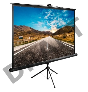 Экран Cactus 160x160см TriExpert CS-PSTE-160x160-BK 1:1 напольный рулонный