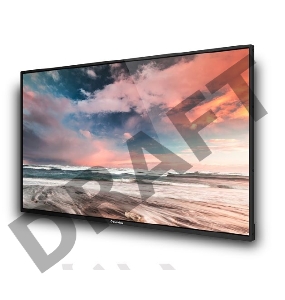 Профессиональный дисплей GoodView 55