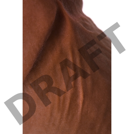 Реалистичный ротатор TOYFA RealStick Elite Mulatto, коричневый, 16 см