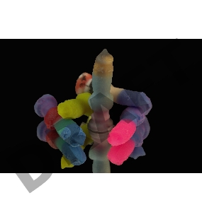 Брелок для ключей Акита