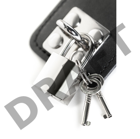 Ошейник TOYFA Theatre кожаный с поводком черный