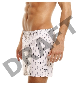 Мужские хлопковые трусы-шорты HUSTLER  белые и с танцовщицами, S