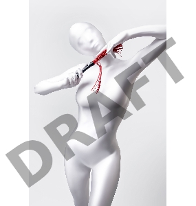 Флоггер Anonymo #0003, PU кожа, красный, 28 см