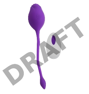 Перезаряжаемое Виброяйцо CNT Rosie Purple CNT-430010A