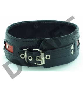 Черно-красный ошейник на пряжке