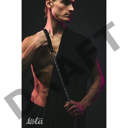 Поводок Willpower с ручкой