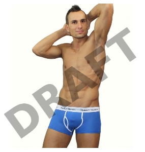 Мужские трусы боксеры голубые Romeo Rossi Boxer Brief RR365-6