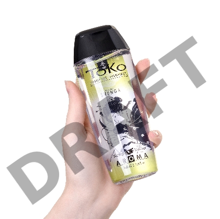 Лубрикант Shunga Toko Aroma на водной основе, дыня и манго, 165 мл