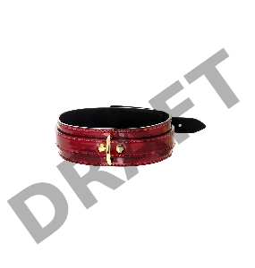 Ошейник TOYFA Theatre, PU кожа, красный, 41 см