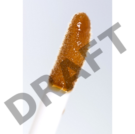 Бальзам для губ SECRET PLAY со вкусом шоколадного печенья, 6 гр