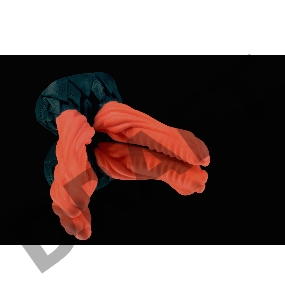 Дизайнерский стимулятор Анаконда с двумя стволами - 22 см.