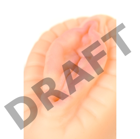 Мастурбатор реалистичный TOYFA Juicy Pussy Hot Bloom, вагина, TPR, телесный, 15 см