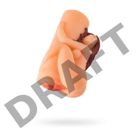 Мастурбатор реалистичный TOYFA Juicy Pussy Fresh Pearl, вагина, TPR, телесный, 13 см